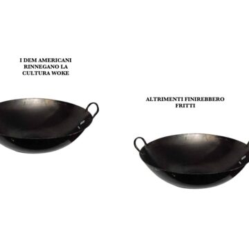 WOKE. WOK, DEM , FRITTI