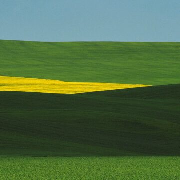 IN MEMORIA DI FRANCO FONTANA, COLORI